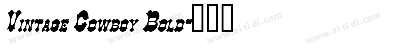 Vintage Cowboy Bold字体转换
